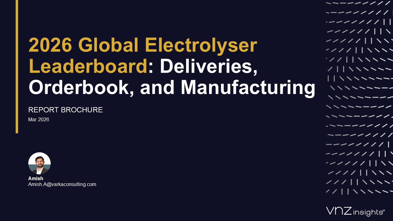 VNZ Insights 2026 Cover Page